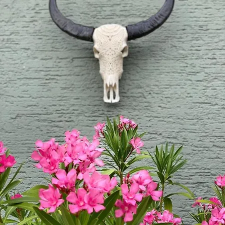 Jules&jim Gaestehaus * 林茨