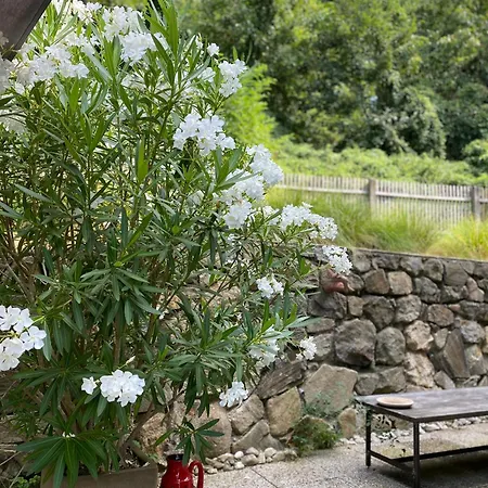 Jules&jim Gaestehaus 公寓 林茨