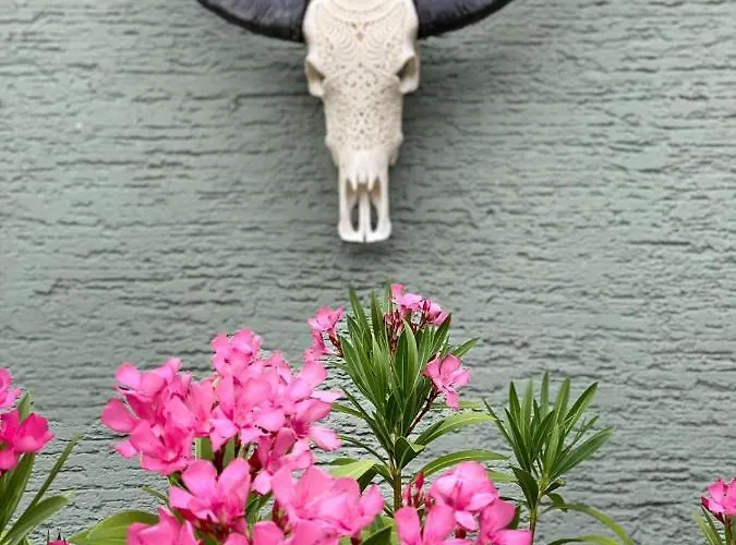 Jules&jim Gaestehaus * Linz