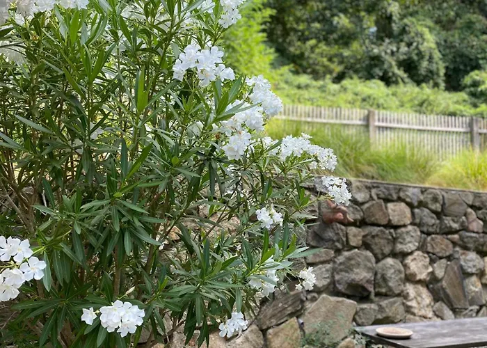 Jules&jim Gaestehaus Lägenhet Linz